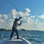 Andaman solo angler trips